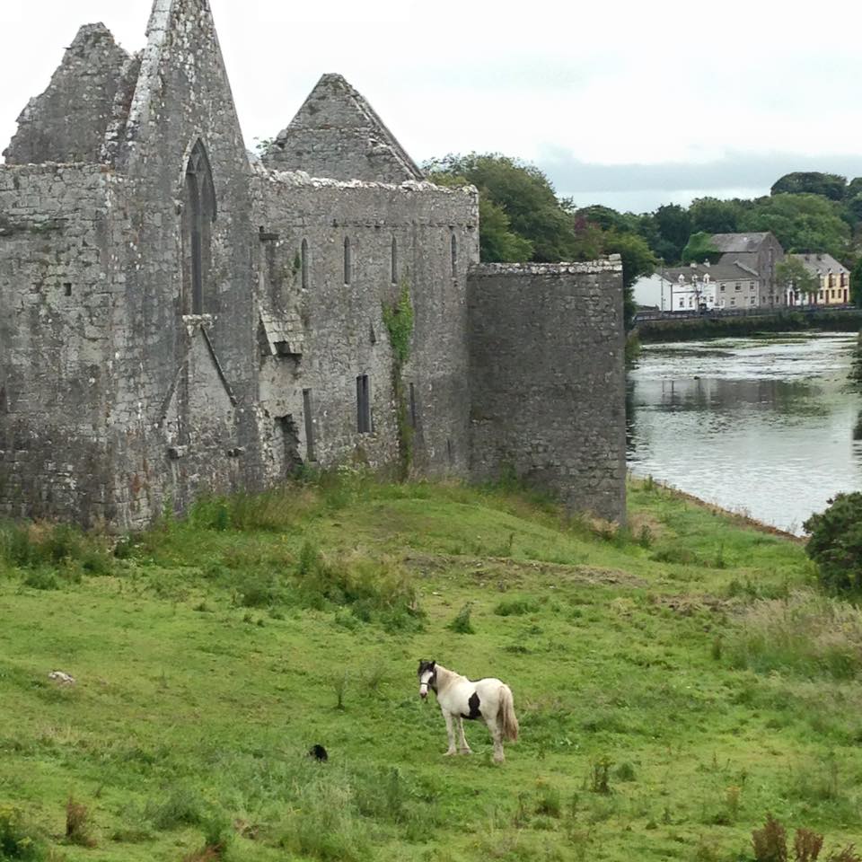 11214085_10153633732287214_7822151839099105624_n