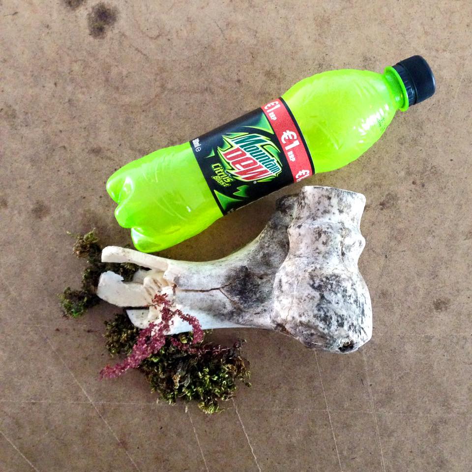 11760169_10153653915212214_6361051266700059042_n