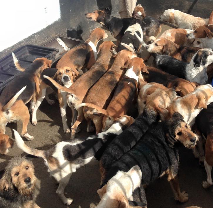 11796414_10153649793362214_7847120524377147286_n