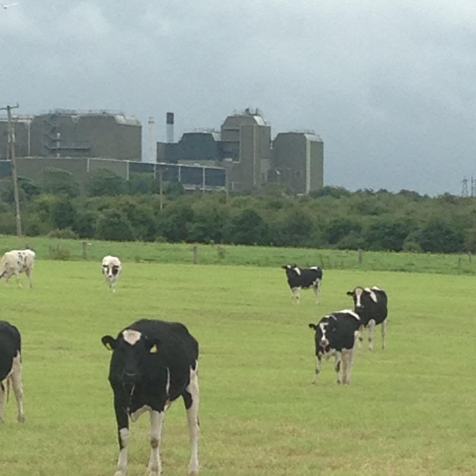 13697204_10154551065027214_7249610039917407752_n