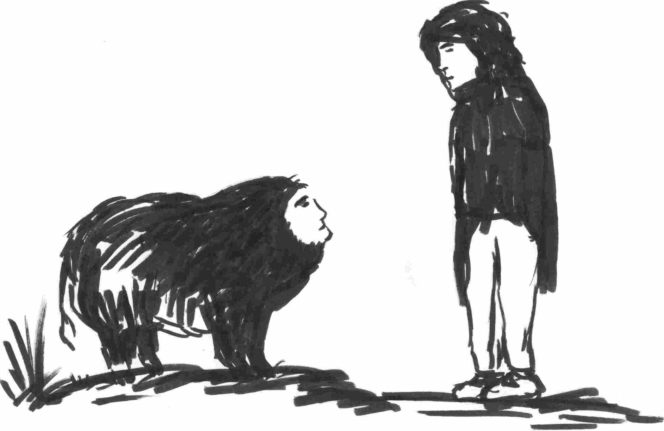 imatge lona fescamp-1