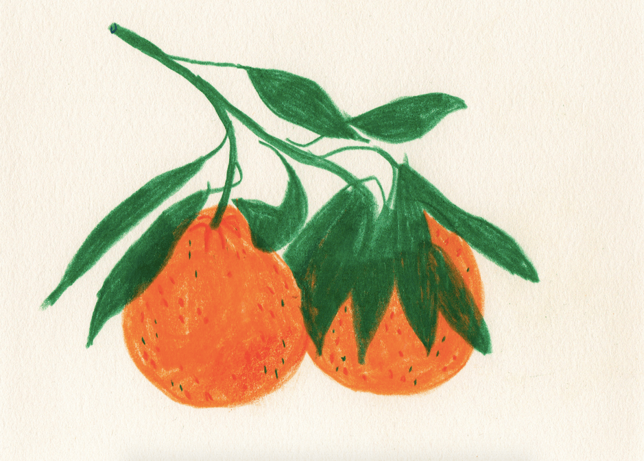 Screen Shot 2017-05-25 at 15.21.38